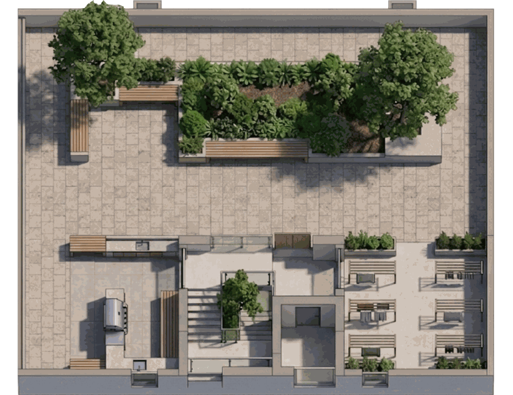 Doctors Tepantor rooftop plan
